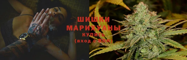 соль ск Дмитров