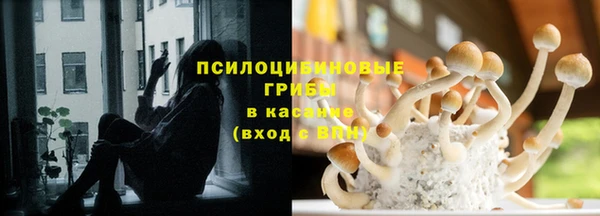 прущая мука Дмитриев