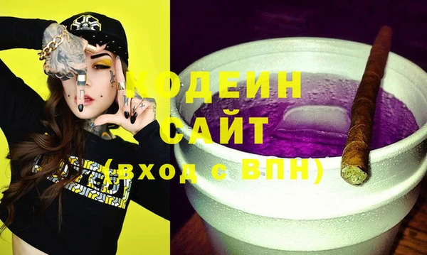 соль ск Дмитров