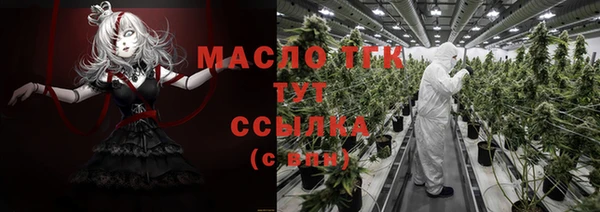 соль ск Дмитров