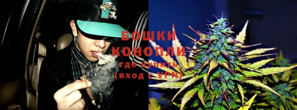 прущая мука Дмитриев