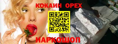 индика Камышлов