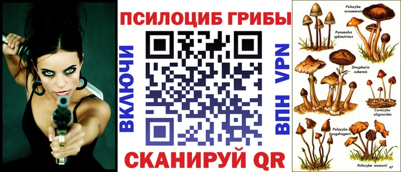 даркнет состав  купить наркоту  Междуреченск  Псилоцибиновые грибы GOLDEN TEACHER 