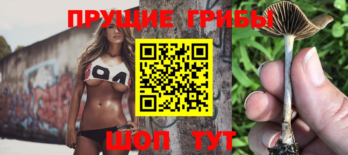 Галлюциногенные грибы мицелий Междуреченск