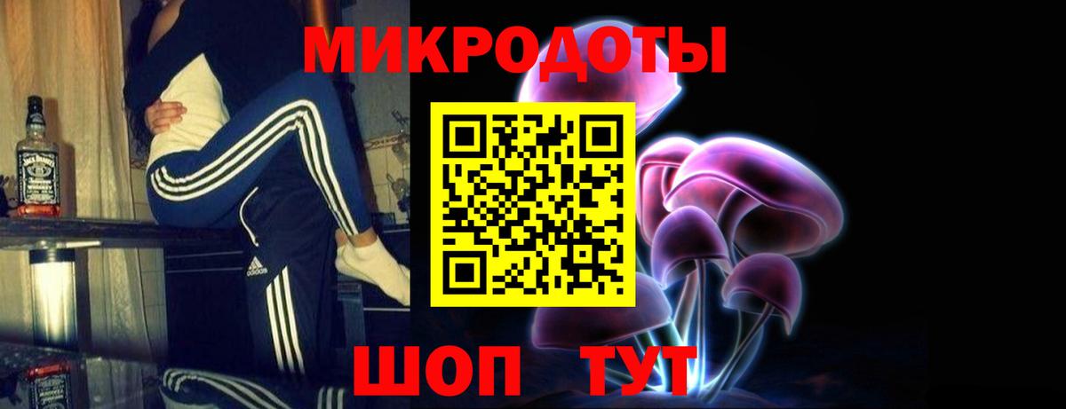 Галлюциногенные грибы Psilocybine cubensis Междуреченск